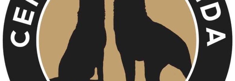 Central Florida K9
