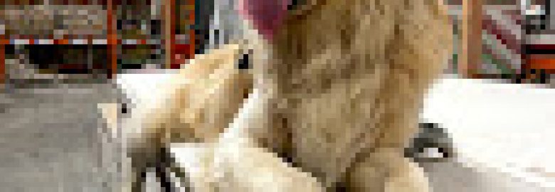 Core K9 Solutions LLC