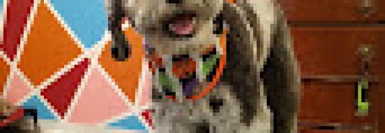 Dogmetology